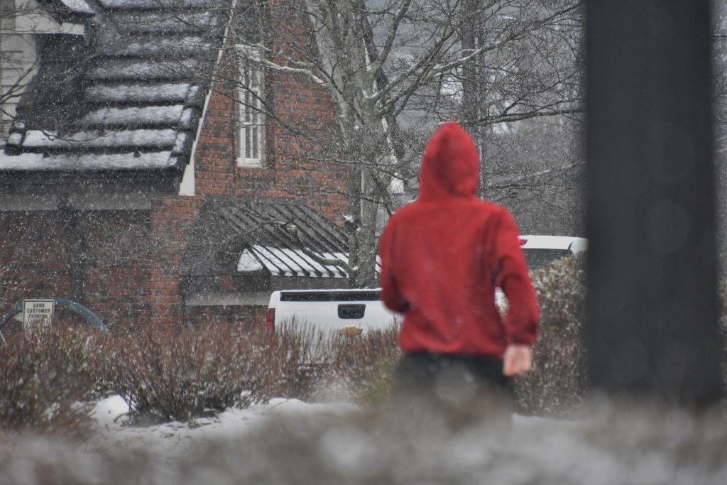 snow 1-31-20 057 (1024x683).jpg